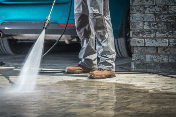 Best Window and Screen Pressure Cleaning in Fort Riley, KS